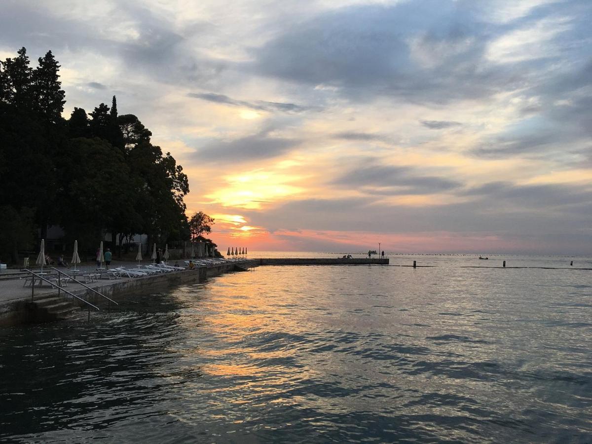 Skolka * Portorož