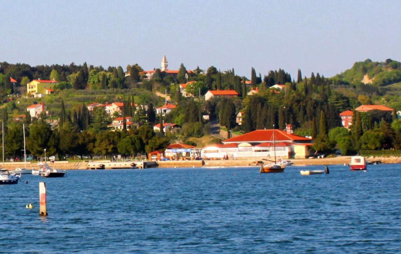 Skolka *