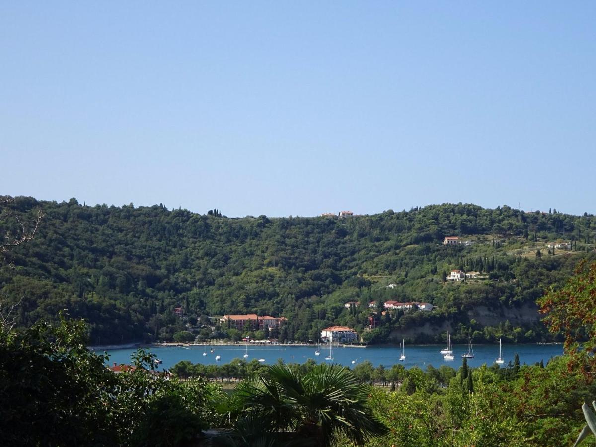Skolka * Portorož