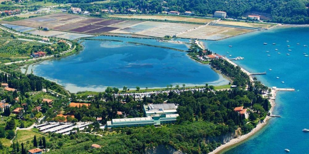Skolka * Portorož