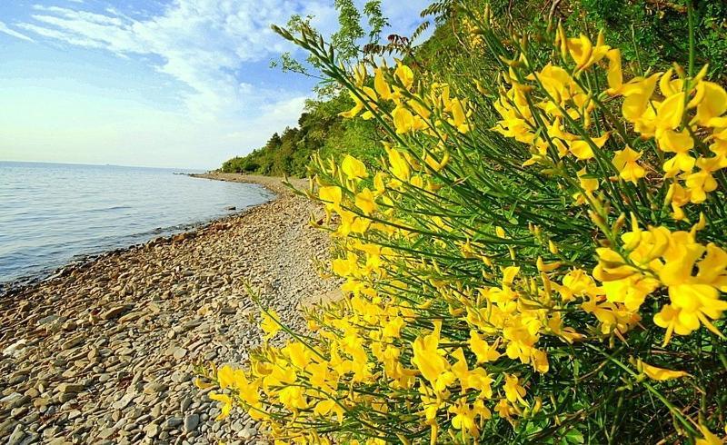 Skolka * Portorož