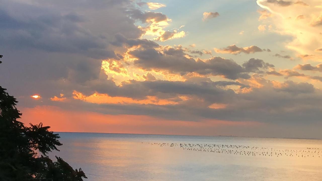 Skolka Portorož